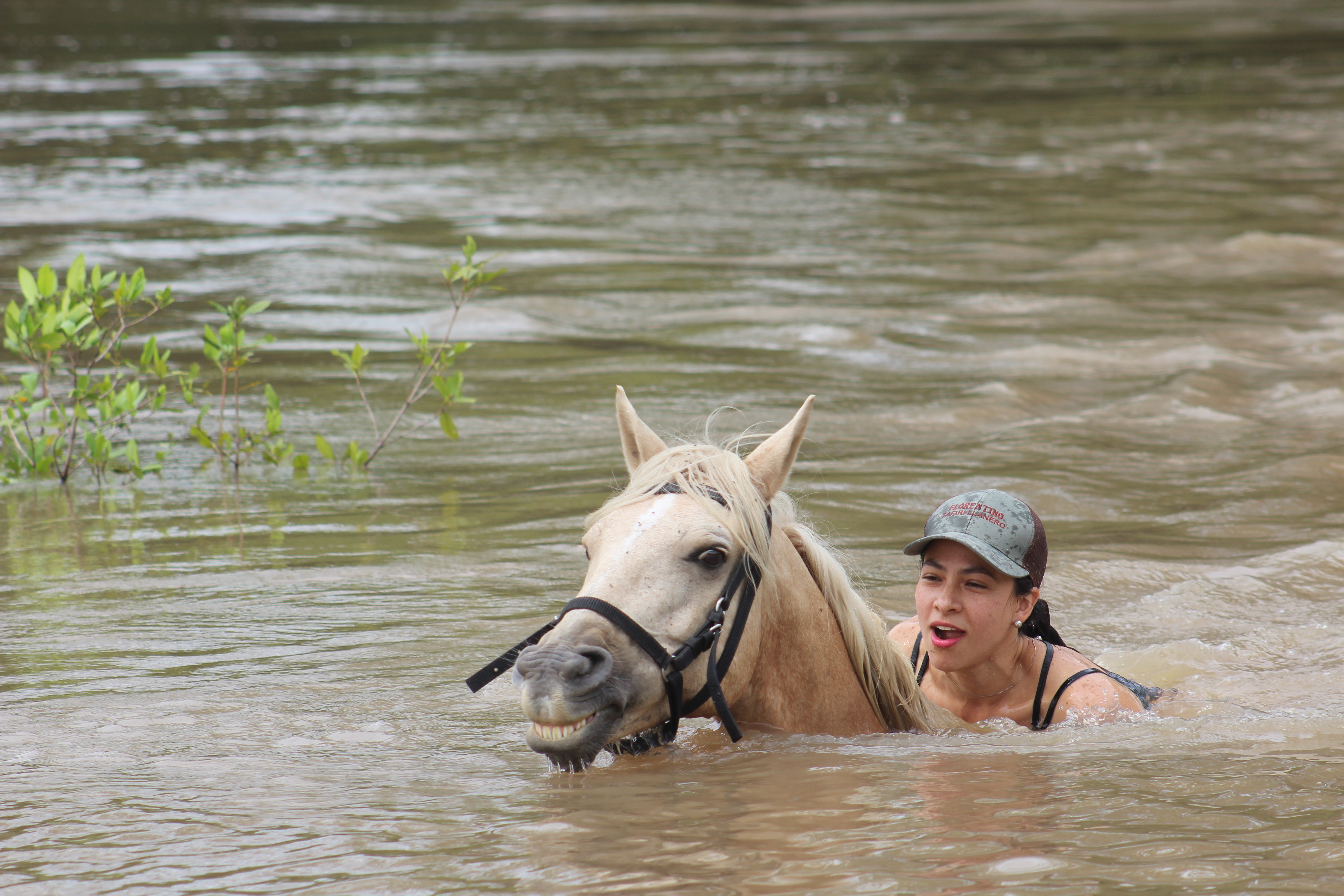 Nado con Caballos